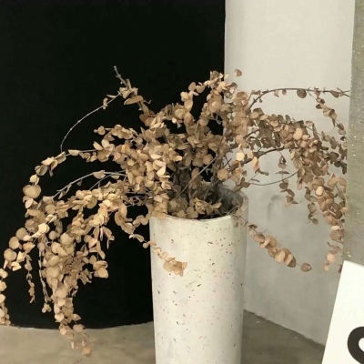 Furry原创作品设计思路FurryQQ群